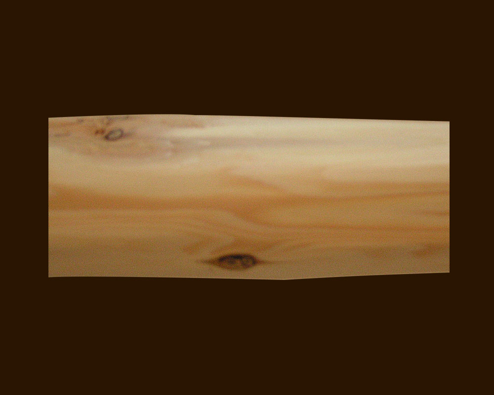 hand hewn rail